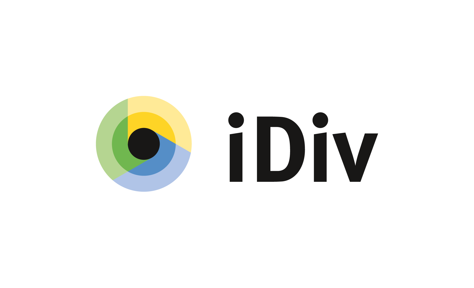iDiv logo